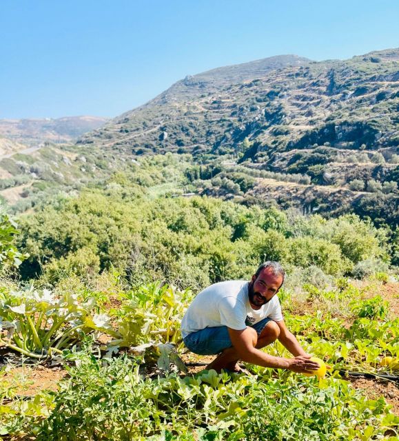Melanes: Naxos Perivoli Farm & Cooking Class with Wood Fire - Who should book this (and who might want a different style)