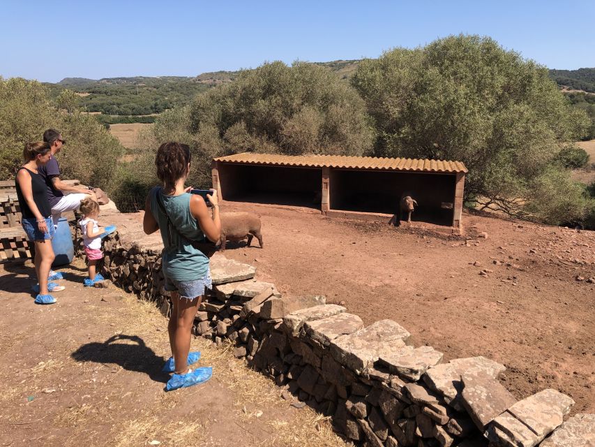 Menorca: Cheesemaking and Farm-Fresh Product Tasting - Logistics That Matter: Time, Meeting Point, Duration