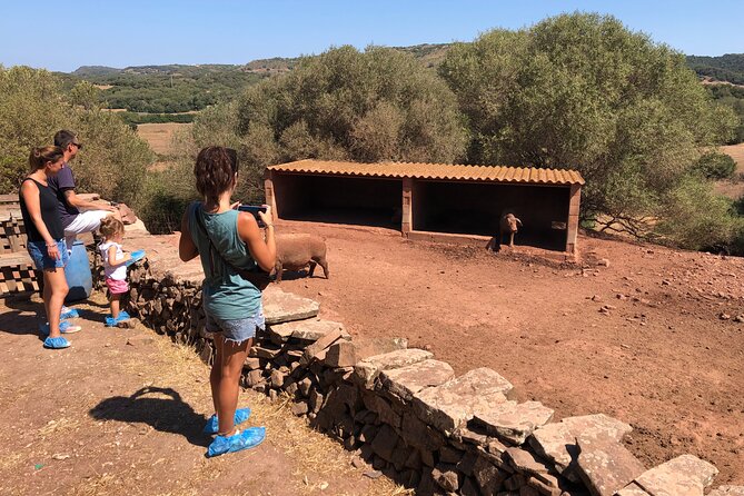 Menorca: Cheesemaking and Farm-Fresh Product Tasting - FAQ