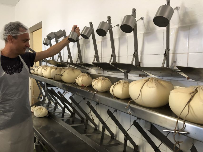 Menorca: Cheesemaking and Farm-Fresh Product Tasting - Price and Value: Why $67 Can Be Worth It