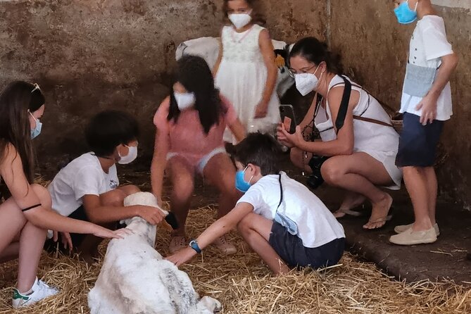 Menorca: Cheesemaking and Farm-Fresh Product Tasting - Meet the Animals: Calves, Cows, and a Very Hands-On Moment