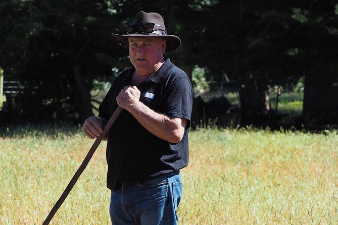 Merino Farm Experience - Gardens at a Farmhouse: Flowers and Vegetables in the Same Tour