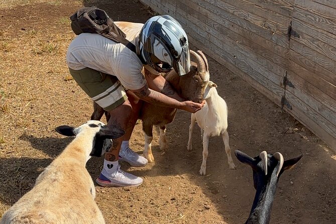 Mini ATVs and Farm Animal Experience - The 15-minute mini ATV ride: controls, safety gear, and real scenery
