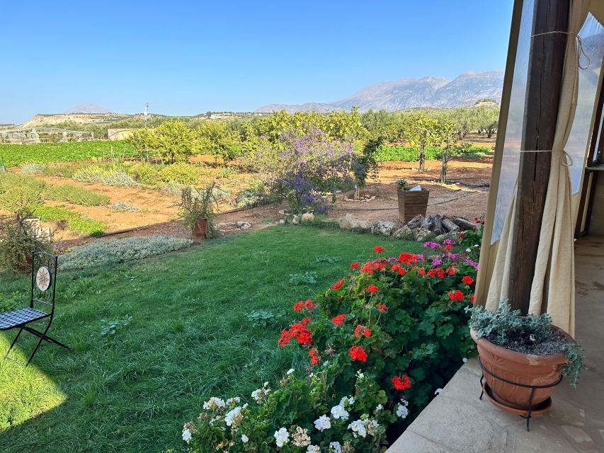 Moires: Cooking Class and Olive Oil Tasting at a Family Farm - Who Should Book This Cretan Cooking and Olive Oil Tasting?
