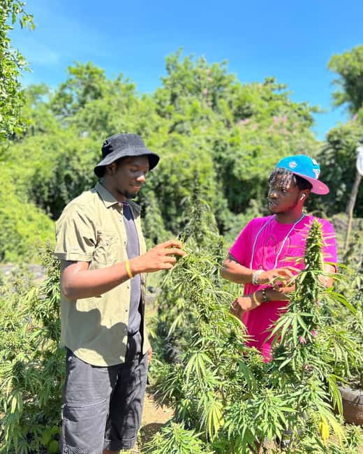 Montego Bay: Cannabis Farm, Bamboo Rafting, & Foot Massage - Stop Three: The Warm Limestone Foot Massage Experience