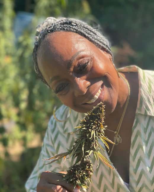 Montego Bay: Cannabis Farm, Bamboo Rafting, & Foot Massage - What’s Included (and Why It Matters for Value)