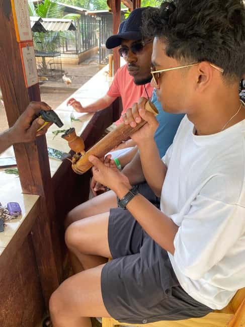Montego Bay: Marijuana Farm and Bird Sanctuary Tour - Key things to know before you go