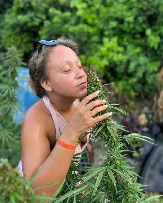 Montego Bay: Marijuana Farm and Bird Sanctuary Tour - Weed Chalice Pipe: When Curiosity Becomes Smoke