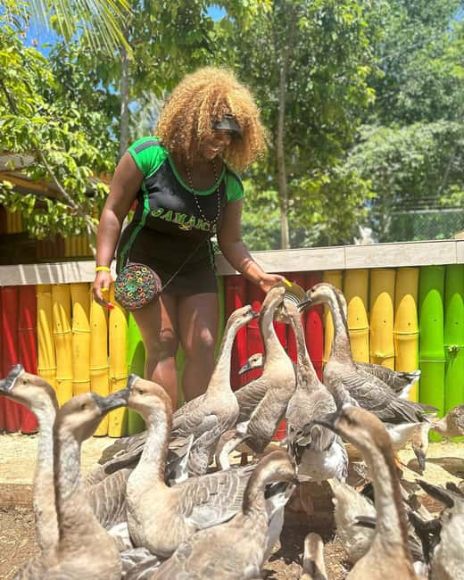 Montego Bay: Marijuana Farm and Bird Sanctuary Tour - Entry Fees and Total Cost: Figuring Out if It’s Worth $87