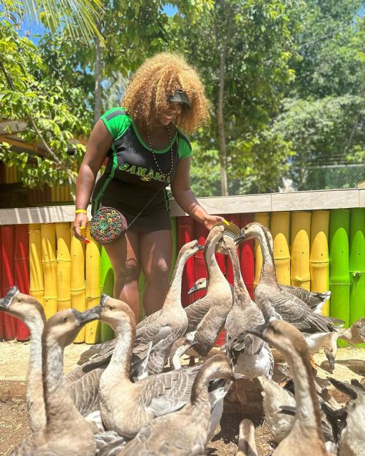 Montego Bay: Marijuana Farm and Bird Sanctuary Tour - Who This Tour Fits (and who might skip it)