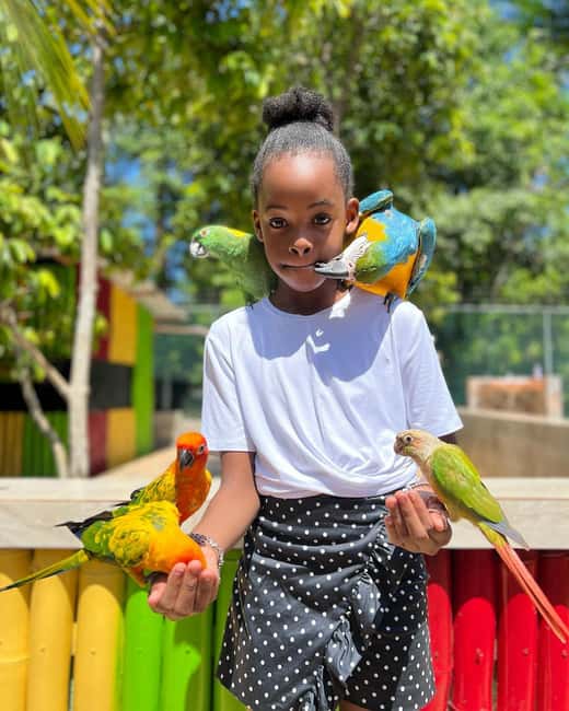 Montego Bay: Marijuana Farm and Bird Sanctuary Tour - Should You Book This Montego Bay Marijuana Farm and Bird Sanctuary Tour?