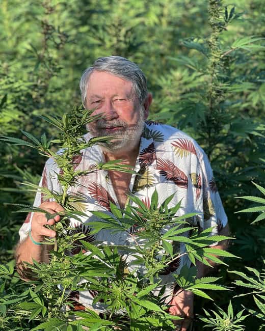 Montego Bay: Marijuana Farm Private Tour with Transportation - Key highlights before you go