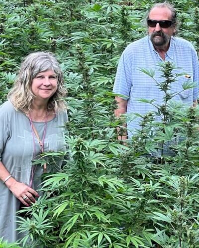 Montego Bay: Marijuana Farm Private Tour with Transportation - Getting there smoothly: private-group pace and hotel pickup