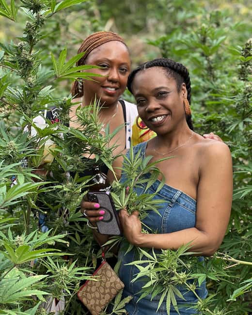 Montego Bay: Marijuana Farm Private Tour with Transportation - Hands-on time: planting, pruning, or harvesting (season dependent)