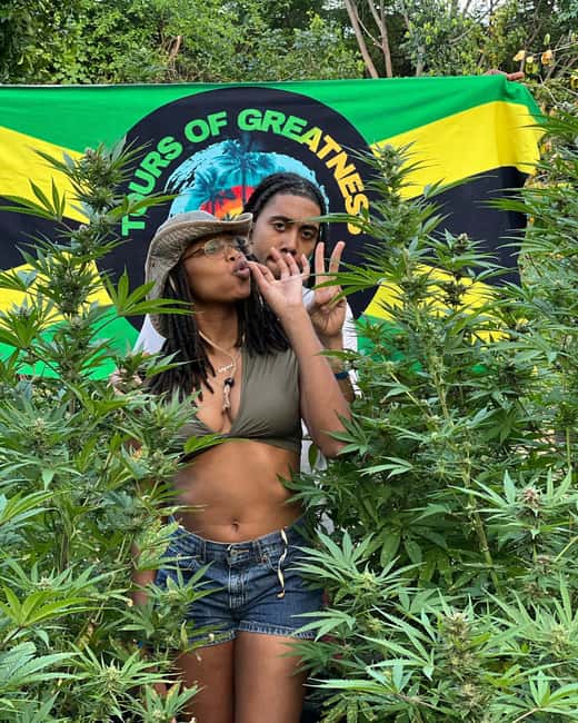Montego Bay Marijuana Farm Tour - Getting to Cornwall County From Montego Bay and Nearby Areas