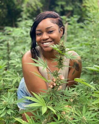 Montego Bay Marijuana Farm Tour - Walking the Farm: How the Growing Journey Works