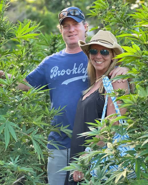 Montego Bay Marijuana Farm Tour - Budget Reality: The Drive and a Possible Roadside Shop