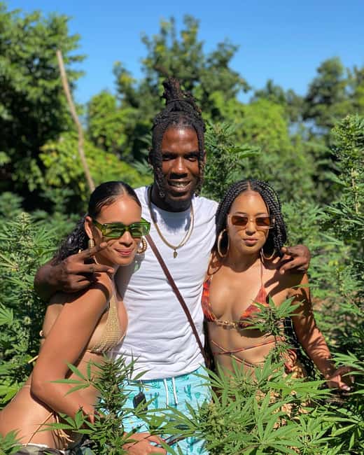 Montego Bay Marijuana Farm Tour - Sampling the Harvest: Decide What Fits Your Comfort
