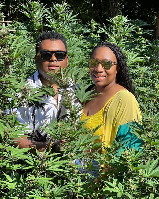 Montego Bay Marijuana Farm Tour - What $140 Gets You in a Private 1–2 Hour Tour