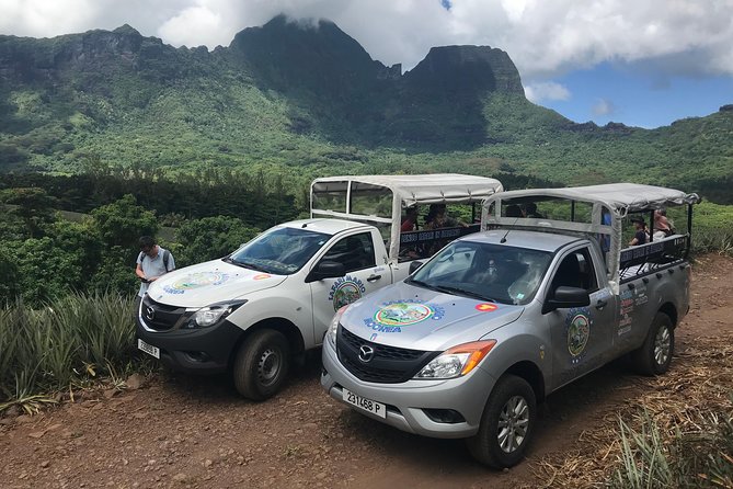 Moorea 4WD Tour Inc. Belvedere, Pineapple Farm, Magic Mountain... - Key things that make this Moorea 4WD tour worth it