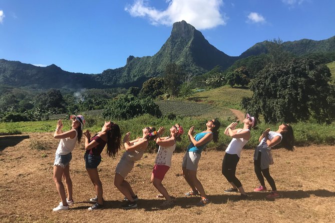 Moorea 4WD Tour Inc. Belvedere, Pineapple Farm, Magic Mountain... - Magic Mountain and the elevated bay viewpoints you came for