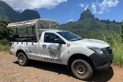 Moorea 4WD Tour Inc. Belvedere, Pineapple Farm, Magic Mountain... - Pickup, timing, and the 4-hour rhythm on the island