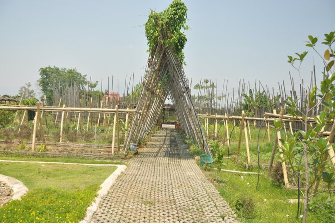 Morning Cooking Class in Organic Farm with Local Market Tour - Who should book this (and who might want a different option)