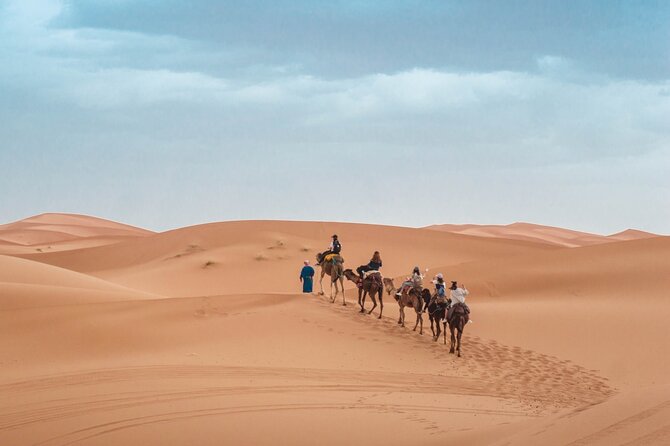 Morning Desert Safari From Abu Dhabi -Camel Ride,Sand Boarding,Camel Farm Visit - Sand Boarding: Sliding Down Dunes Without Overthinking It