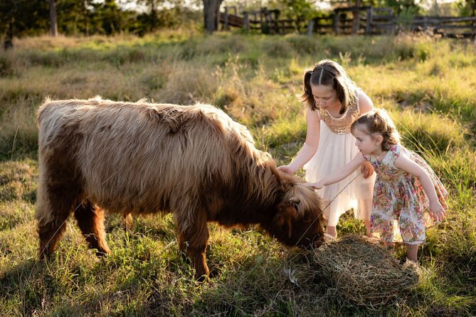 Morning Farm Experience near Gympie & Noosa - Key highlights at a glance