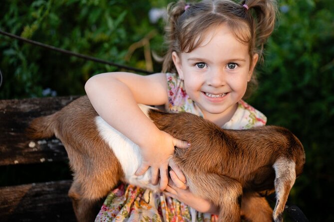 Morning Farm Experience near Gympie & Noosa - A truly hands-on morning in the Gympie and Noosa countryside