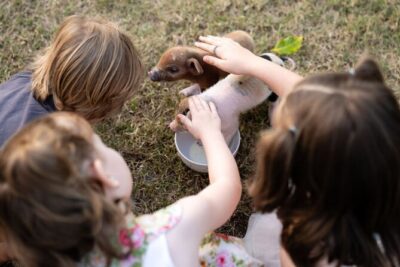 Morning Farm Experience near Gympie & Noosa - The camp oven breakfast: scones, fire, and getting your hands dirty