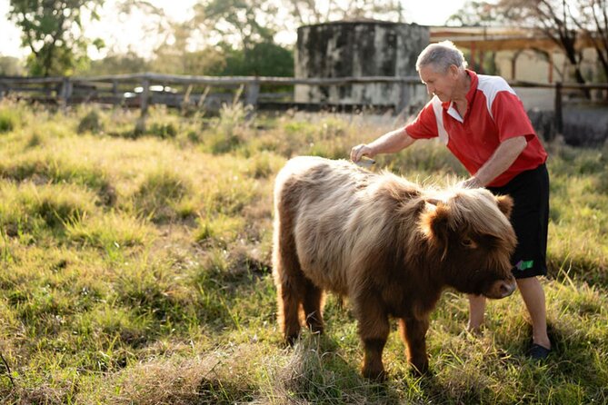 Morning Farm Experience near Gympie & Noosa - Morning tea, coffee, and the reward of cooking together