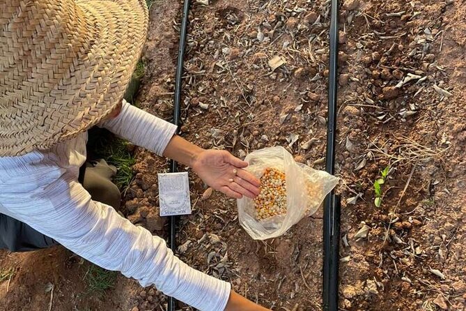 Moroccan Cooking Class and Eco-Farm Visit - Full day - Tea time ritual: how the day ends with Morocco’s most consistent comfort