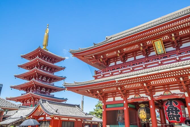 Mt. Fuji Private Chartered Tour with Nature and Wasabi Farm - Price and value: What $658.89 buys you on a day trip