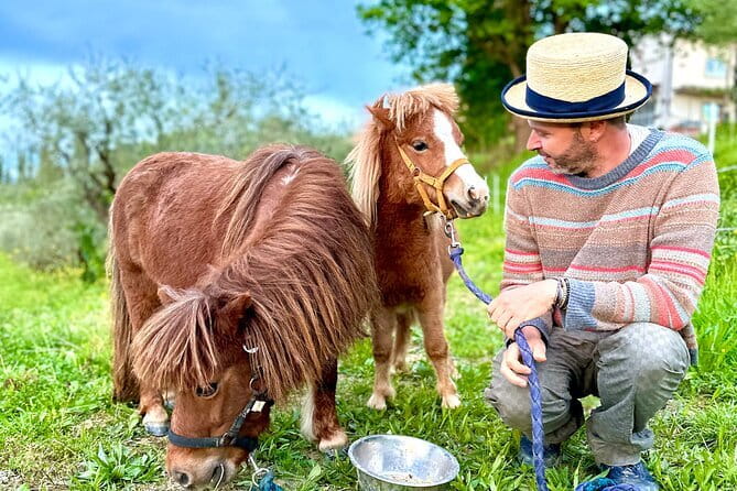 My Tuscan Farm - Three Experiences in One Day - Cellar tasting of 5 organic wines, plus olive oil