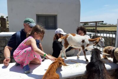 Mykonian Farm Experience - The timing and the transfers: how the 4:30 pm plan works