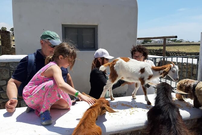 Mykonian Farm Experience - The timing and the transfers: how the 4:30 pm plan works