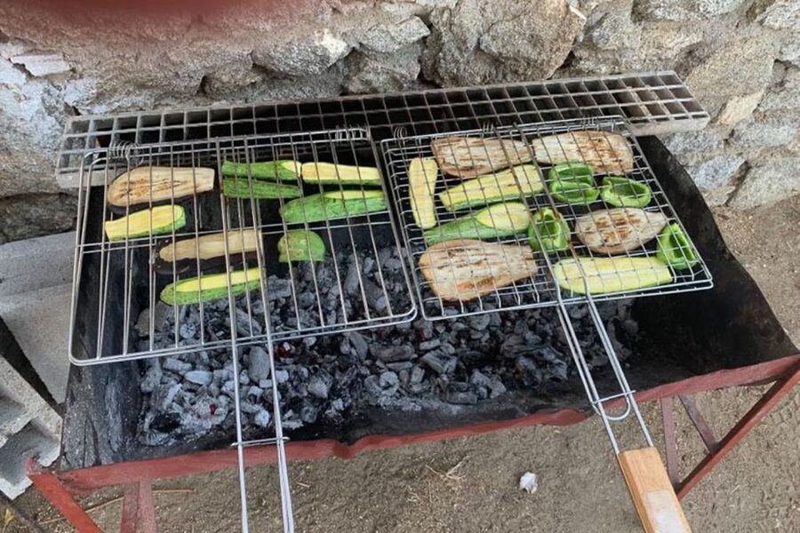 Mykonos: Barbecue at a Mykonian Farm - Arrival at the farm: loukoumi, figs, raki, and a stone couch