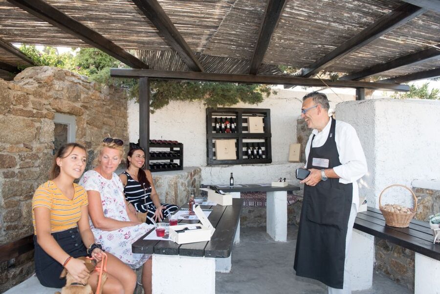 Mykonos: Wine Tasting at a Mykonian Farm - Quick hits before you go