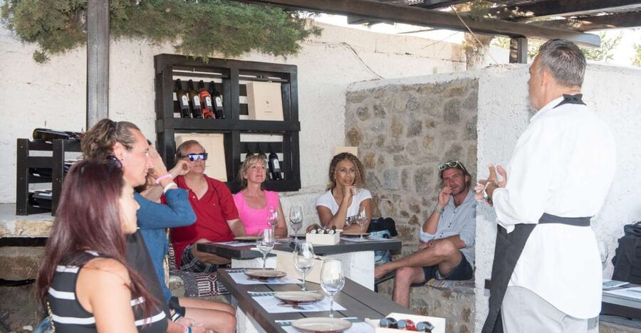 Mykonos: Wine Tasting at a Mykonian Farm - What I love about the hosts: the lesson feels personal