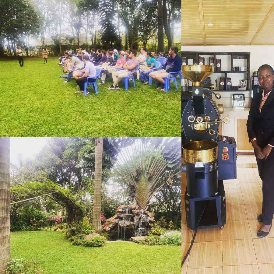 Nairobi: Coffee Factory and Farm Tour with Transfer - Why Fairview’s Limuru coffee estate is worth the trip