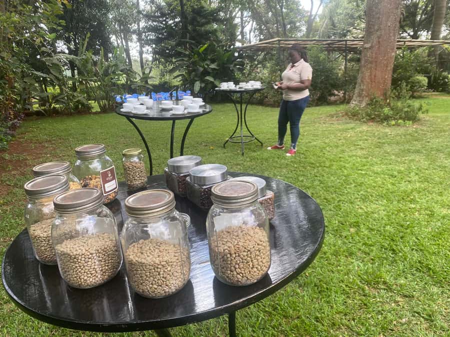 Nairobi: Coffee Factory and Farm Tour with Transfer - The 2-hour farm walk: from flowering stages to the coffee work that matters