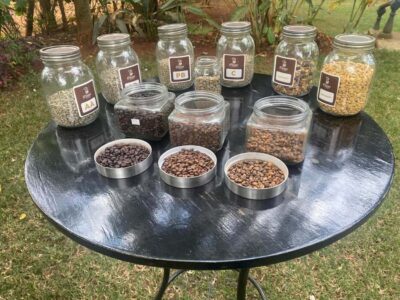 Nairobi: Coffee Factory and Farm Tour with Transfer - Getting there from Nairobi: pickup, the 1-hour van ride, and what it means
