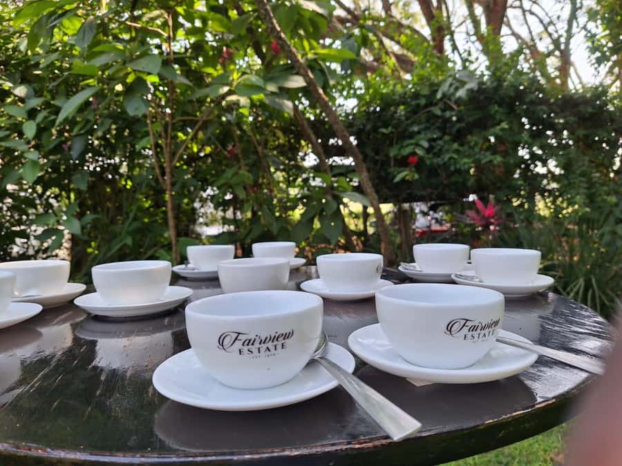 Nairobi: Coffee farm tour with pick up - Fairview Estate, pickup at 9:00, and the start of your coffee day