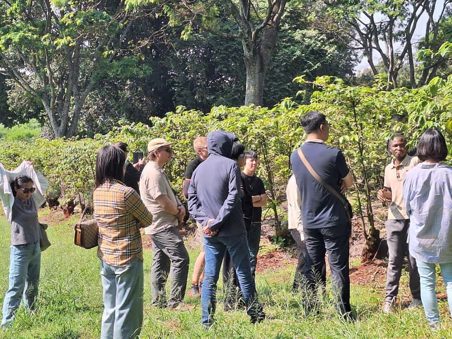 Nairobi: Coffee farm tour with pick up - The on-site shop: what to buy at Fairview Estate before you leave