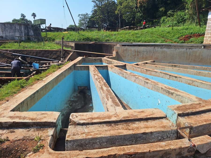 Nairobi: Coffee farm tour with pick up - Timing and communication: why your morning buffer matters