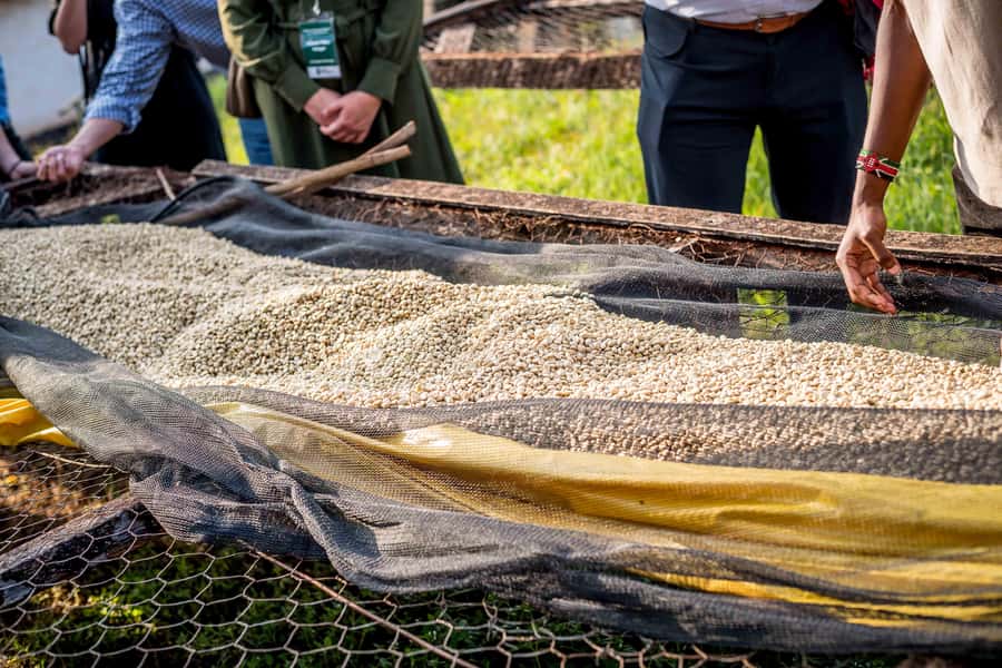 Nairobi: Guided Coffee Farm Tour with Tastings - Coffee history in real context: why East Africa is part of the story