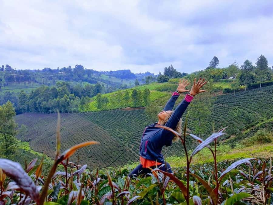 Nairobi: Purple Tea Farm Gatura Greens Day Trip - Crafting your own blend: the keepsake you actually use