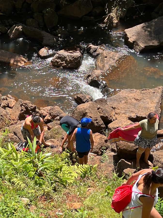 Nairobi: Purple Tea Farm Gatura Greens Day Trip - Bamboo forest trek and a waterfall swim: the part to plan for