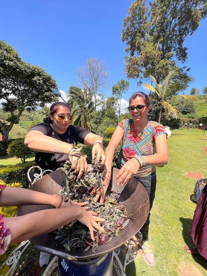 Nairobi: Purple Tea Farm Gatura Greens Day Trip - Price and logistics: is it good value at $54?